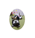 マロクニケ（個別スタンプ：23）