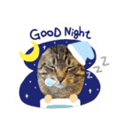 Tabby Chubby poke！（個別スタンプ：9）
