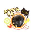 おすまし顔の甲斐犬達 ベビー編（個別スタンプ：8）