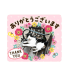 ねこズスタンプふたたび。（個別スタンプ：1）