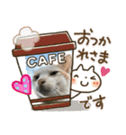 ねこズスタンプふたたび。（個別スタンプ：3）