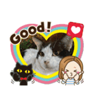 ねこズスタンプふたたび。（個別スタンプ：7）