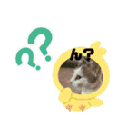 ねこズスタンプふたたび。（個別スタンプ：9）