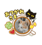 ねこズスタンプふたたび。（個別スタンプ：16）