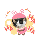 ねこズスタンプふたたび。（個別スタンプ：20）