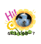 ねこズスタンプふたたび。（個別スタンプ：28）