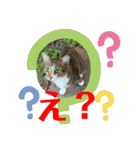 ねこズスタンプふたたび。（個別スタンプ：30）