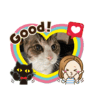 ねこズスタンプふたたび。（個別スタンプ：31）