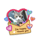 ねこズスタンプふたたび。（個別スタンプ：32）