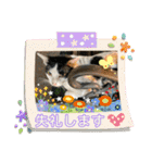 ねこズスタンプふたたび。（個別スタンプ：39）