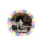 ねこズスタンプふたたび。（個別スタンプ：40）