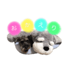 patsy  stamp（個別スタンプ：1）