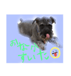 patsy  stamp（個別スタンプ：4）