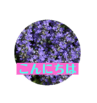 お花で気軽にあいさつしましょ（個別スタンプ：2）