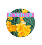 お花で気軽にあいさつしましょ（個別スタンプ：3）