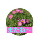 お花で気軽にあいさつしましょ（個別スタンプ：7）