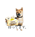 こげまるスタンプ②（個別スタンプ：21）