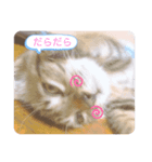 ぽいかなスタンプ（個別スタンプ：2）