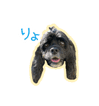 アメコカのリブ（個別スタンプ：18）