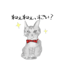 黒ねこさんとトラねこさん（個別スタンプ：8）