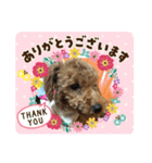 ゆうゆうこむぎん（個別スタンプ：3）