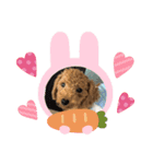 ゆうゆうこむぎん（個別スタンプ：6）