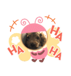 ゆうゆうこむぎん（個別スタンプ：9）