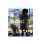 こたくんのいる毎日（個別スタンプ：5）