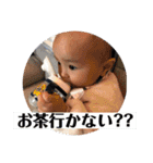 こたくんのいる毎日（個別スタンプ：13）