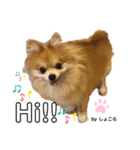 その名はショコラ③（個別スタンプ：3）