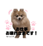 その名はショコラ③（個別スタンプ：7）