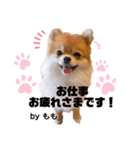その名はショコラ③（個別スタンプ：8）