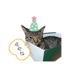 どんちゃん＆がんちゃん（個別スタンプ：21）