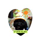 トイプーがっくん1（個別スタンプ：2）