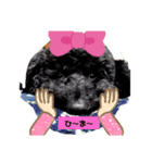 トイプーがっくん1（個別スタンプ：8）
