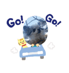 チワワん子（個別スタンプ：12）