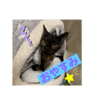ねこのカワウソちゃん（個別スタンプ：2）