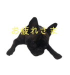 福ちゃんと菊ちゃん（個別スタンプ：2）