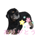 福ちゃんと菊ちゃん（個別スタンプ：23）
