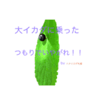 自然の生き物2（個別スタンプ：6）
