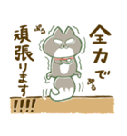 全力ちゅうけん‼（個別スタンプ：12）