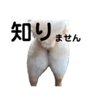 すすぎどうぶつえん2（個別スタンプ：3）