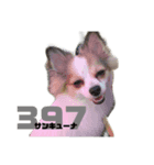 すすぎどうぶつえん2（個別スタンプ：4）