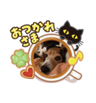やんちゃビーグル☆わんたろう（個別スタンプ：7）