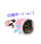 ❤︎おばぶ❤︎（個別スタンプ：4）
