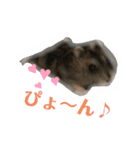 ❤︎おばぶ❤︎（個別スタンプ：9）