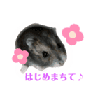❤︎おばぶ❤︎（個別スタンプ：14）