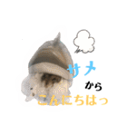 ❤︎おばぶ❤︎（個別スタンプ：17）