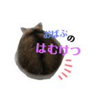 ❤︎おばぶ❤︎（個別スタンプ：18）