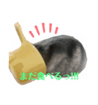 ❤︎おばぶ❤︎（個別スタンプ：19）